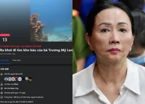 Luật sư của bà Trương Mỹ Lan đề nghị xử lý người tạo trend 'ra khơi tìm kho báu'